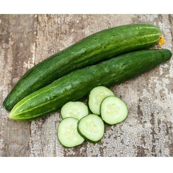 Japanese cucumber🎯The cheapest 10g.🎯10 Japanese cucumber seeds🎈Easy ...
