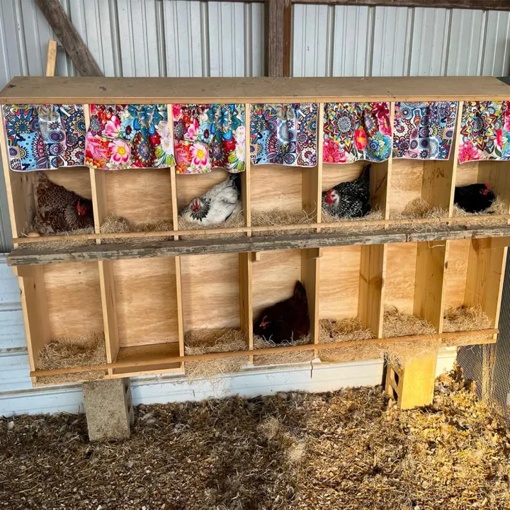 10Pcs/1Pc%20Nesting%20Liner%20Nest%20Box%20Chicken%20Mat,%20Nest%20Mat%20Box%20Liner,%20Chicken%20Coop%20Chicken%20Mat,%20Chick%20Mat%20Bird%20Nest%20Mat%20Rabbit%20Mat%20-%20Image%202