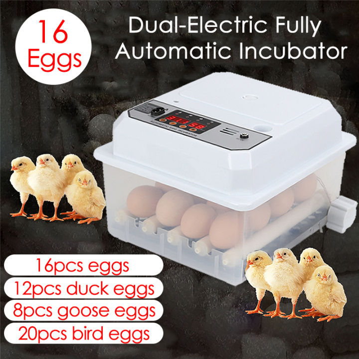 16 Eggs Farm Poultry Fully Automatic Turning Egg Incubator Dual ...