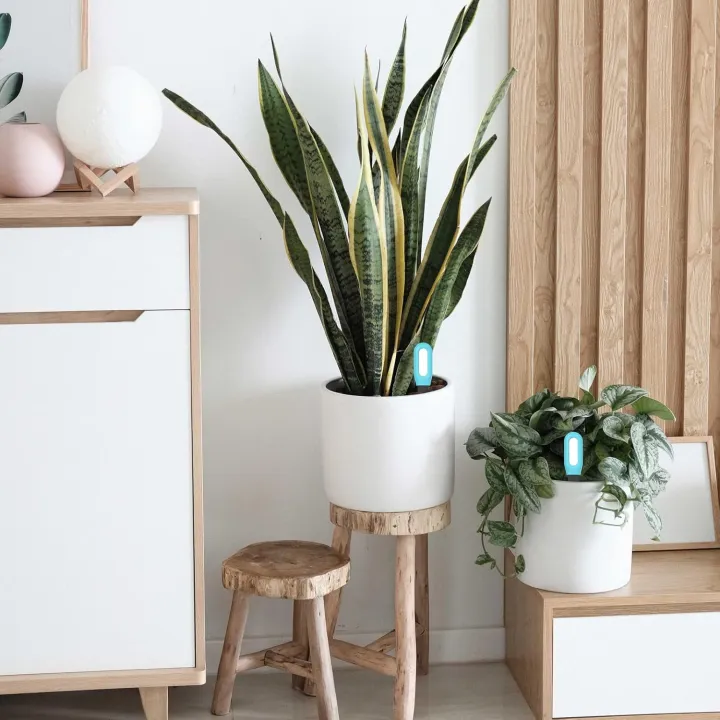 BT%20Zigbee%20Smart%20Soil%20Tester%20Bluetooth%20Humidity%20Temperature%20Moisture%20Sensor%20Mobile%20phone%20APP%20Real%20Time%20Monitor%20for%20Plant%20Garden%20-%20Image%206