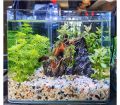 Multicolour stones for aquarium and artificial plants pot filler. 