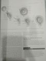 Integrated principles of Zoology. 