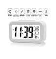 Portable mini digital alarm clock snoonze mute Desktop Clock with calendar. 