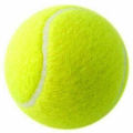 Tennis Balls High Bounce Training Tennis For Dogs Bite 6.4CM Elastic  Tennis Training Ball Outdoor Sports Practicing Parts. 