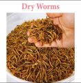 dry worm 25g | pure organic for bird | finches | hens and hamster. 