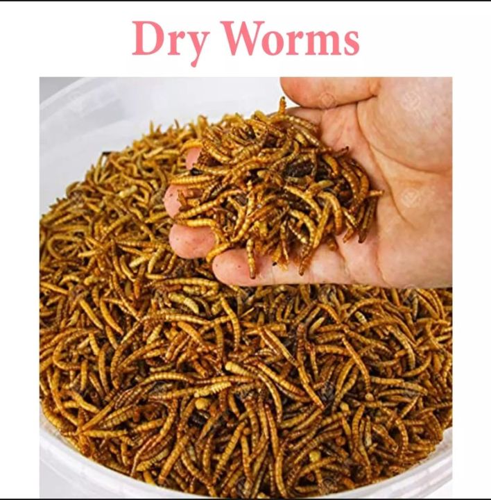 dry worm 25g | pure organic for bird | finches | hens and hamster