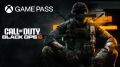 Xbox Game pass. 