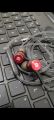 Protronic Handsfree Red (Previous name
Portronics name logo also change due to stock.
without free gift). 
