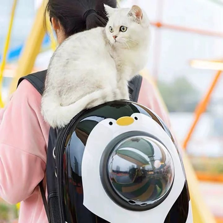 Cat Pet Carrier Backpack Transparent