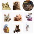 Funny Cat Sticker Sheets A5 Uncut Sticker Sheets, animal stickers, cat memes, cute cat stickers, laptop sticklers, phone stickers/Cat Lovers Sticker Pack. 
