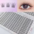 384 Pcs Soft Lightweight Fish Tail Single Cluster Eyelashes, 10-12mm Perfect for Daily Makeup & Eyelash Extension. 