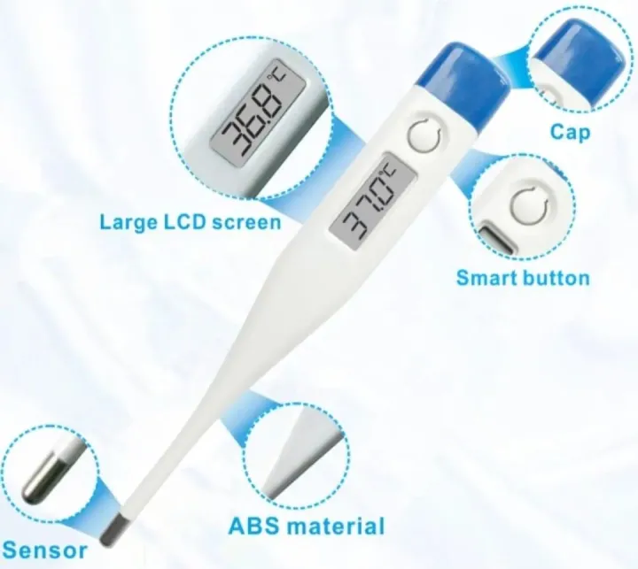 Digital%20thermometer%20-%20Image%204