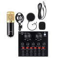 V8 Bm-800 Podcast Mic Set With Live Sound Card,condenser Microphone With Rechargeable 12 Kinds Of Auxiliary Background For Karaoke Singing, Youtube Recording Mic. 
