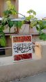 Qurani Ayat written on beautiful canvas in Amazing Arabic Calligraphy for wall hanging beautiful painting. 