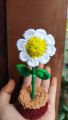 crochet flower tob. 