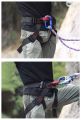 Xinda Professional Outdoor Sports Safety Belt Rock Mountain Climbing Harness Waist Support Half Body Harness Aerial Survival. 
