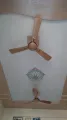 Usha Striker Galaxy 1400 mm 3 Blade Ceiling Fan (Bright Gold).