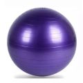 Yoga Ball 55Cm Exercise Ball With Pump. 