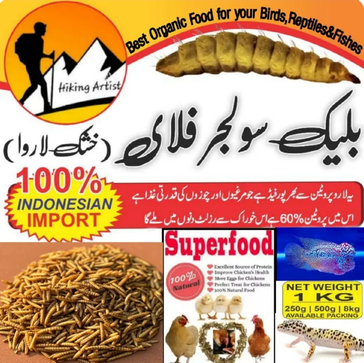 Black%20Soldier%20Flies%20Dried%20Larvae%20(1%20Kg)%20%20"Bsfl"%20-%20Image%202