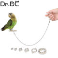 Dr.DC Bord Stainless Steel Chain Parrot Anti-flying Traction Rope Bird Feet Bracelet Alloy Foot Ring Pet Bird Travel Supplies.