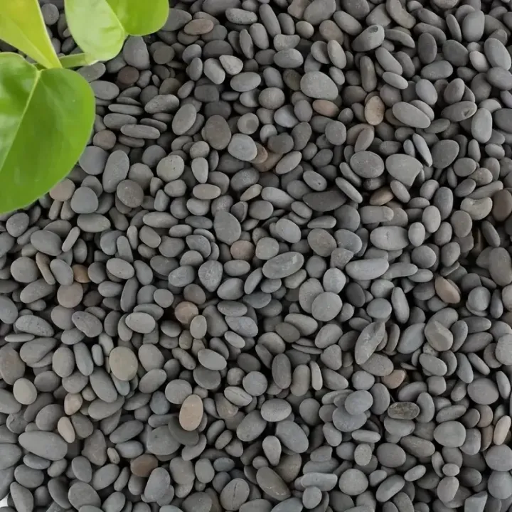 20Pcs%20Natural%20River%20Rocks%20Smooth%20Flat%20Stones%20in%20Grayish-Black%20Tones%20Perfect%20for%20Handmade%20Crafts%20Fish%20Tank%20Decor%20Rock%20Painting%20-%20Image%203