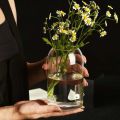 Simple Modern Glass Flower Vase Home Decoration Hydroponic Plant Bottle Desktop Decoration for Wedding Reception Family. 