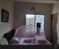Lazy adult Mosquito Net Magic mosari Single Bed-বড়দের স্টাইলিশ মশারি. 