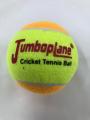 Jumbo plane Tennis Ball (Made in China)12pcs. 