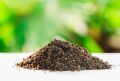 Readymix soil for garden/ premium quality.