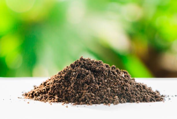 Readymix%20soil%20for%20garden/%20premium%20quality%20-%20Image%202