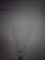 OSAKA Led Bulb. 