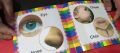 Preschool books for your Kids With a Surprise Gift -high quality Paper- Pack of 7-Basic English Learning books set. 