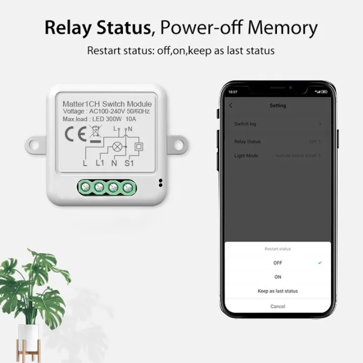 Smart%20Matter%20WiFi%201%20CH%20Swtich%20Module%20DIY%20Bulb%20Circuit%20Breaker%20App%20Remoter%20Support%20Homekit%20Siri%20Google%20Home%20Alexa%20Voice%20Assistant%20-%20Image%205