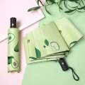 BMW Light weight Auto Open-close Printed Umbrella- Orange/Watermelon/Kiwi.