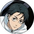 Jujutsu Kaisen Figure Badges Button Pins Zenin Naoya Fushiguro Megumi Itadori Yuji Okkotsu Yuta Choso Brooch Cat Bag Accessories. 