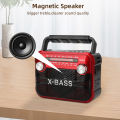 Portable radio, equipped with rechargeable battery, USB, TF card, Bluetooth playback, FM/AM/SW modes.