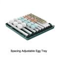 15 Eggs Intelligent Full Automatic Incubator Dual Supply AC/DC, Adjustable Rolling Tray, Auto Water Refil System. 