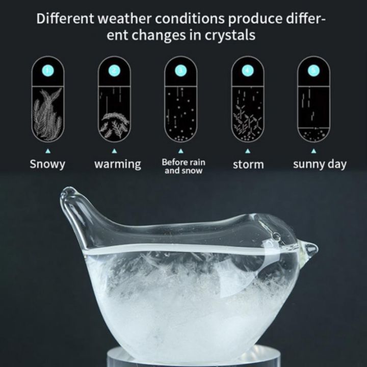 Desktop Stylish Apple Bird Swan Shaped Crystal Weather Forecast Bottle Glass Storms Weather Predictor Monitor Barometer For Home