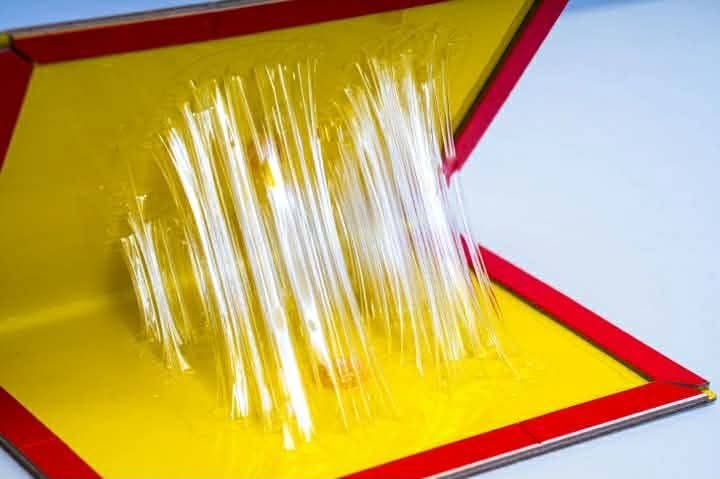 Mouse%20Glue%20Trap%20(%20Sticky%20Board)%20-%20Image%202