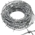 Barbed Wire - 50ft. 