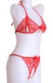 Exotic Hot Bikini Set For Honeymoon Exclusive And Premium Transparent Sexually attractive Red colour Nighty. 