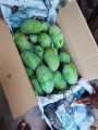 White Chunsa 5kg fresh fruit famous gift of Shujaabad Mango. 