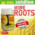 More Roots Dry powder Rooting Hormone මුල් අද්දවන හෝමෝන. 
