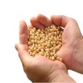 kabuli Chickpeas wholesale price. 