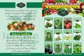 Pack of 12 Summer Vegetables seeds with 64 Holes Seedling Tray. 