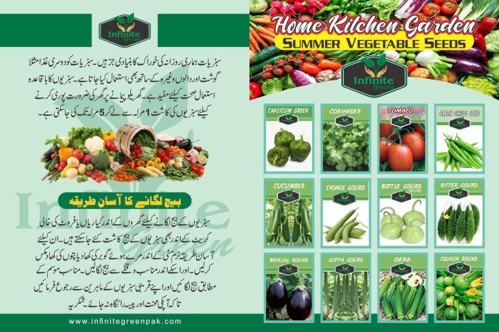 Pack of 12 Summer Vegetables seeds with 64 Holes Seedling Tray