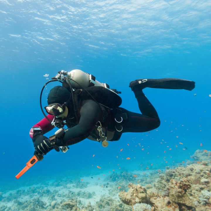 Pin Dive Waterproof Pointer Underwater 15m Pulse Pinpointer Induction Dive Metal ...