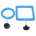 Fish Feeding Ring For Fish Tank.