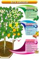 Npk 00 00 50 potassium sulphate 500 gm repack SOP fertilizer sulphate of Potash 
For Plants Water Soluble Fertilizer VEGETABLES FLOWER HYDROPONICS and FRUITS Aries Agro  Indian. 