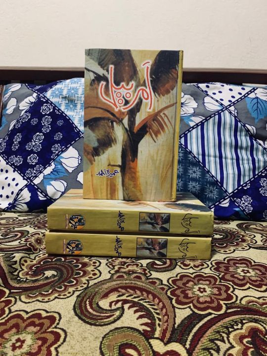 Amar%20Bail%20Novel%20By%20umera%20Ahmed%20Best%20Selling%20urdu%20novel%20-%20Image%202